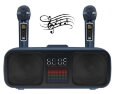 Караоке система - OWL SD-318 Bluetooth, 2 радиомикрофона, USB, оптический/коаксиальный вход