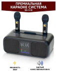 Караоке система - OWL SD-318 Bluetooth, 2 радиомикрофона, USB, оптический/коаксиальный вход