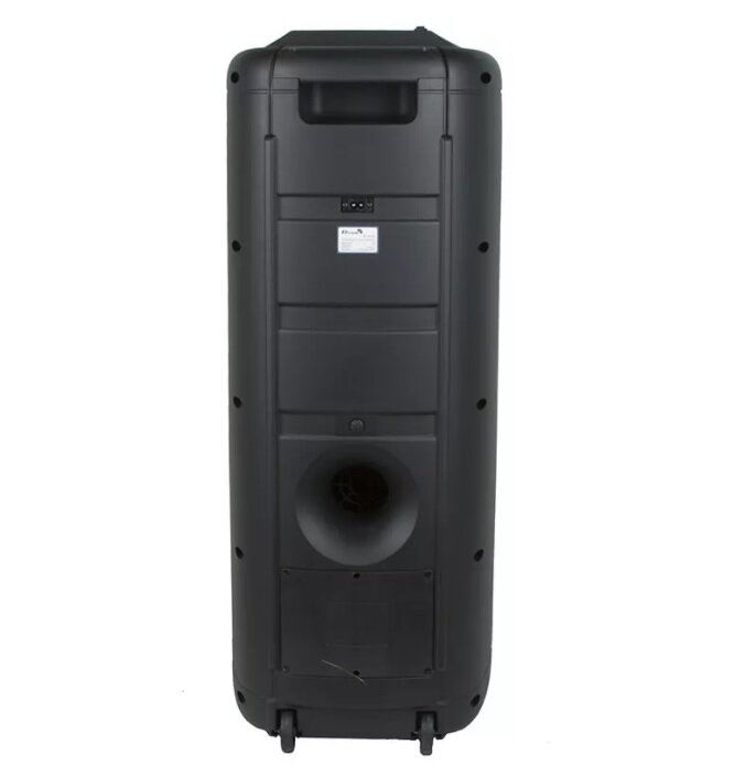 Караоке колонка Eltronic EL20-16 с двумя микрофонами