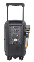 AURA A210MP3-Battery