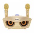 SDRD SD-306 - bluetooth колонка-караоке с беспроводными микрофонами (Розовый)