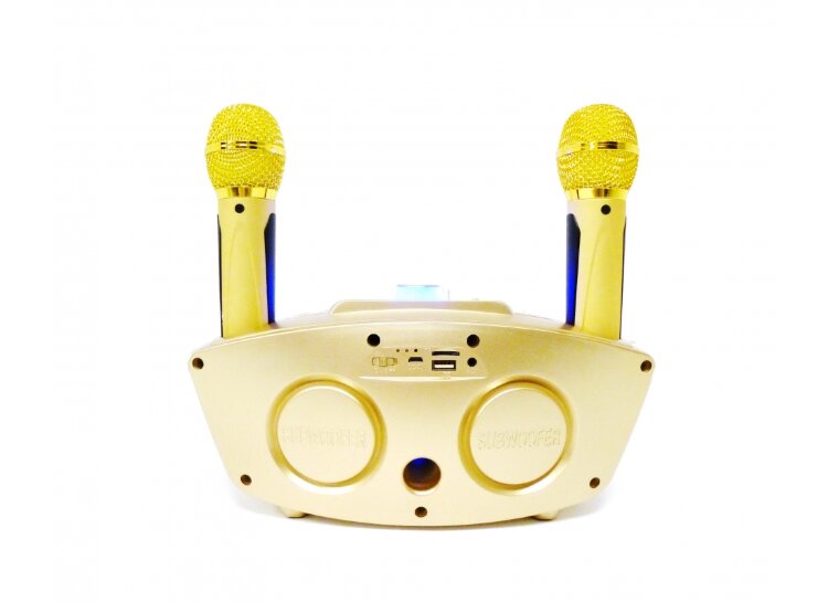 SDRD SD-306 - bluetooth колонка-караоке с беспроводными микрофонами (Розовый)