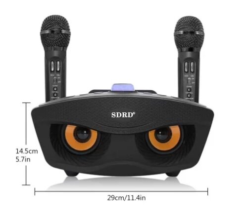 SDRD SD-306 - bluetooth колонка-караоке с беспроводными микрофонами (Розовый)