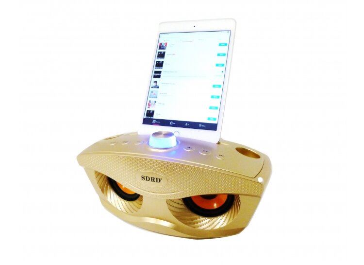 SDRD SD-306 - bluetooth колонка-караоке с беспроводными микрофонами (Розовый)
