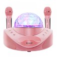 Караоке система на два микрофона с LED Диско-шаром SDRD SD-308 gold