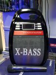 X Bass.jpg