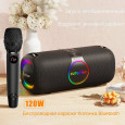 Hi-Fi Колонка караоке AveryStar 120Вт на акб