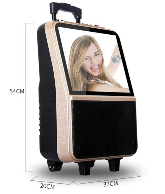 Караоке комбик с монитором,микрофоном и Bluetooth 250 Вт
