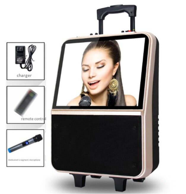 Караоке комбик с монитором,микрофоном и Bluetooth 250 Вт