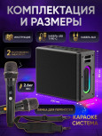 Hi-Fi Караоке колонка AveryStar +2 микрофона