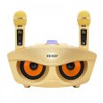 SDRD SD 306 Plus (золотой) - домашняя блютус-караоке система с двумя перезаряжаемыми радиомикрофонами, изменение голоса, Bluetooth
