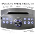 SDRD SD 306 Plus (золотой) - домашняя блютус-караоке система с двумя перезаряжаемыми радиомикрофонами, изменение голоса, Bluetooth