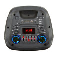 Колонка eltronic 20-58 с 2 радиомикрофонами