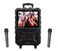 Караоке онлайн колонка Orator 250-300 Вт WiFi, с двумя микрофонами.