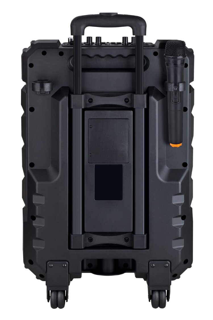 Караоке онлайн колонка Orator 250-300 Вт WiFi, с двумя микрофонами.