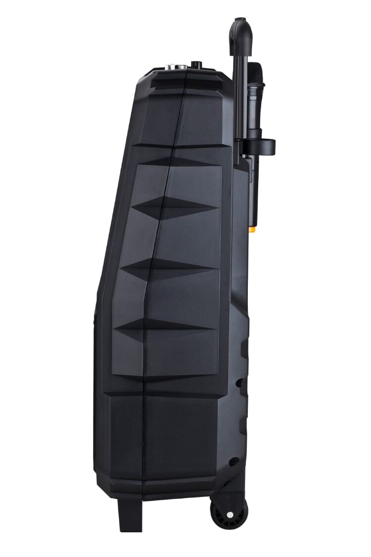 Караоке онлайн колонка Orator 250-300 Вт WiFi, с двумя микрофонами.
