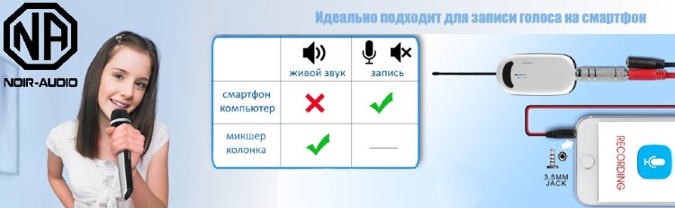 Автономные радиомикрофоны NOIR-audio UR-220