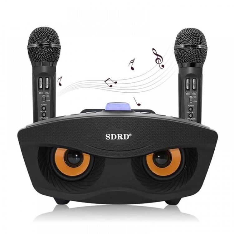 Караоке Колонка OWL SDRD SD-306 с радиомикрофонами и Bluetooth black  