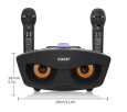 Караоке Колонка OWL SDRD SD-306 с радиомикрофонами и Bluetooth black  